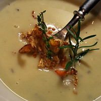 Využití celeru v kuchyni Zdroj: Toprecepty