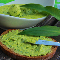 Jak sbírat medvědí česnek Zdroj: Toprecepty