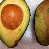 Avokádo Zdroj: Toprecepty