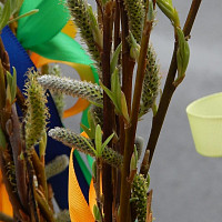 velikonoce Zdroj: Pixabay