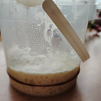 Kvásek Zdroj: Iva Jechová