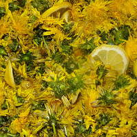 pampelišky v kuchyni Zdroj: Toprecepty