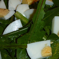 pampelišky v kuchyni Zdroj: Toprecepty