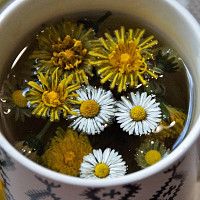 pampelišky v kuchyni Zdroj: Pixabay