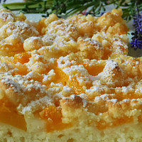 Moučník na plech Zdroj: Toprecepty