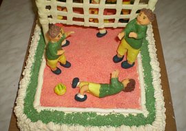 Volejbalové hřiště 1