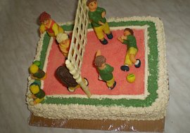 Volejbalové hřiště 1