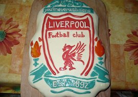 na přání mého staršího syna k narozeninám