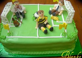 Fotbalové hřiště pro zaneprádněného kluka