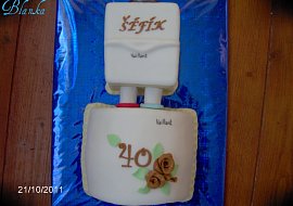 Bojler s kotlem pro instalatéra