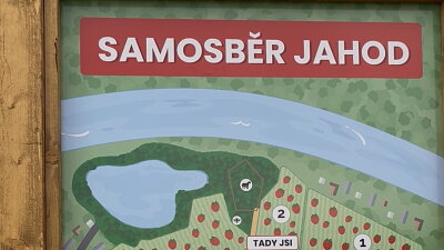 Samosběr jahod v Sedlčánkách Zdroj: Vilém Besser, Toprecepty