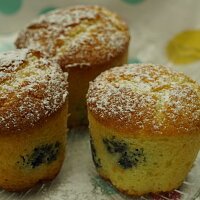 Borůvkové muffiny