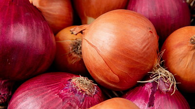 Cibuli lze pěstovat pro okamžitou spotřebu i jako zásobu na zimu Zdroj: Freepik/magnific