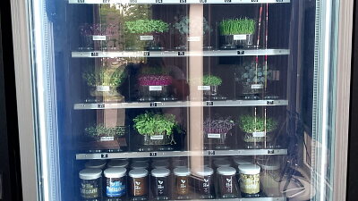 Microgreens od farmy I Love Microgreens ze Semilska Zdroj: Martina Pilzová