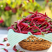 Zralé chilli papričky Zdroj: Pixabay/ JillWellington
