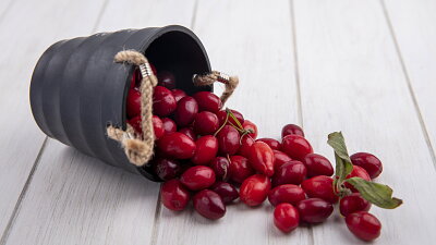 Dřínky vypadají trochu jako olivy. Zdroj: Magnific