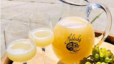 Burčák je symbolem vinobraní. Zdroj: se souhlasem vinařství Habánské sklepy