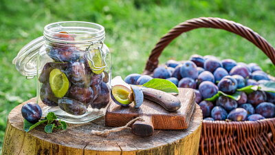Příprava švestek na nakládání Zdroj: Shutterstock