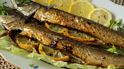 Grilovaná makrela a další recepty