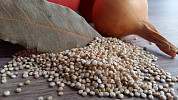 Královna superpotravin quinoa: Jak s ní vařit a do jakých pokrmů ji použít