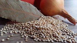 Jak uvařit quinou? Královna superpotravin se v kuchyni neztratí. Jak s ní vařit a do jakých pokrmů ji použít