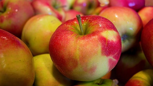 Jablka můžeme uchovat i zpracovat mnoha způsoby