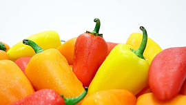 Jak zpracovat papriky. Mohou tvořit hlavní chod, být součástí zeleninové směsi, dají se zavařit na zimu