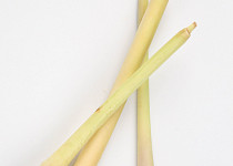 Bambusové výhonky