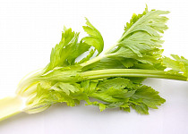 List celerové natě