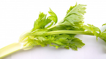 List celerové natě