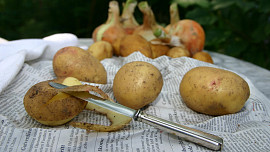 Chyby při okrajování a škrabání brambor: Zbytečný odpad i tupá škrabka