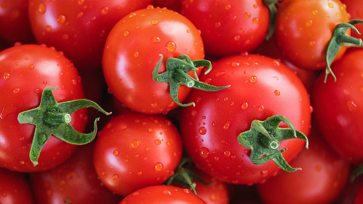 Jak chránit rajčata před plísní? Pomůže prevence i postřiky