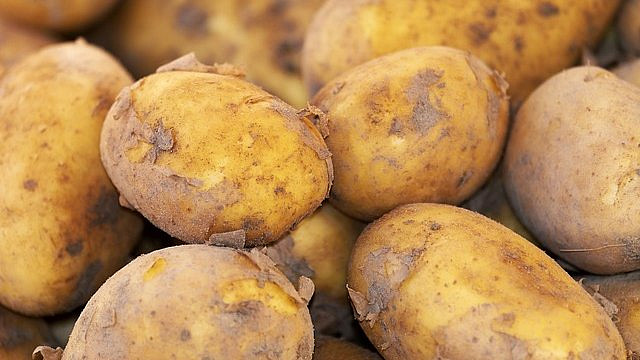 Na co se hodí nové brambory? Radíme začátečníkům