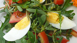 Šrucha zelná je málo známá listová zelenina, výborná do salátů i na chleba
