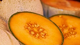 Jak správně jíst žlutý meloun. Máme několik rad pro nezkušené mlsouny