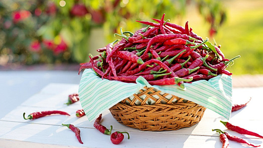 Jak naložit chilli papričky do nálevu? Uchovejte vlastní úrodu na zimní měsíce