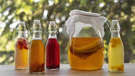 Co je kombucha? Poradíme, jak si snadno připravit zdravý fermentovaný nápoj