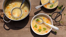 Jak uvařit kedlubnovou polévku? Přivítejte s námi jaro chutně a jednoduše