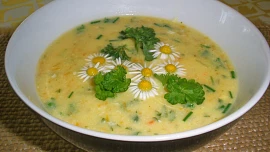 Jaké bylinky do jarních polévek? Poradíme tipy z přírody i ze zahrady