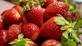 Desatero rad na téma jahody v naší kuchyni: Poradíme, jak je uchovat a jak zpracovat