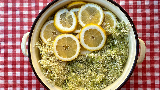 Šumivá bezová limonáda našich babiček byla skvělým nápojem a podobala se sektu