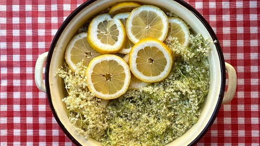 Šumivá bezová limonáda našich babiček byla skvělým nápojem a podobala se sektu
