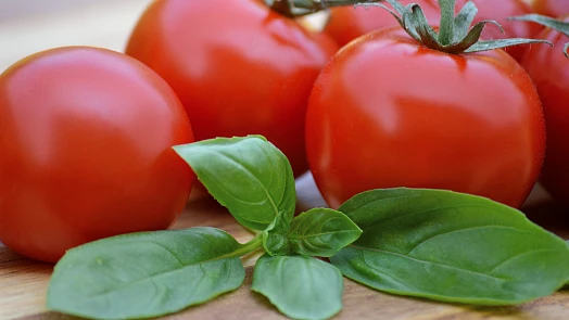 Proč pěstovat vedle rajčat bazalku? Který soused je k rajčatům naopak nevhodný