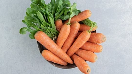 Jak využít ranou mrkev v kuchyni? Inspirujte se recepty na svěží pokrmy