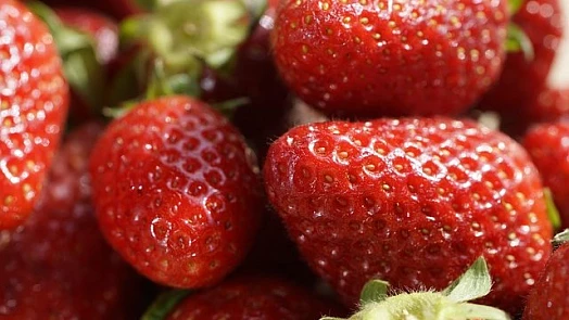 Kde všude můžete využít úrodu jahod? Poradíme ty nejlepší varianty
