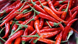 Feferonky proti škodlivému hmyzu: Jak připravit ochranný postřik do zahrady