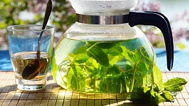 Kdy se stříhá máta? Při sklizni v pravý čas si listy zachovají skvělé aroma