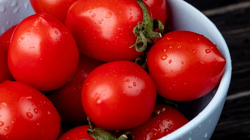 Vylamovat, vyštipovat nebo vystřihávat zálistky rajčat? Na správné technice záleží