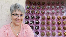 Jak tvarovat nepečené cukroví? Těsto lze tvarovat ručně nebo ve formičkách