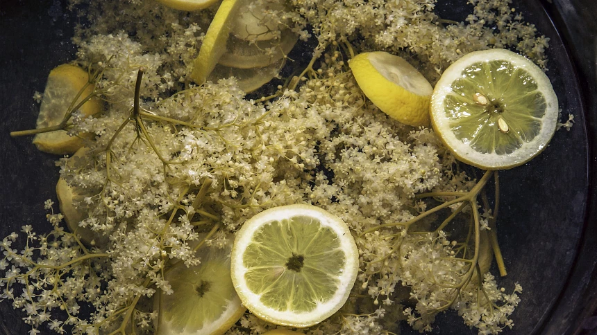 Kolik květů na bezovou šťávu? Při postupu zastudena šťáva vydrží až do další sezony